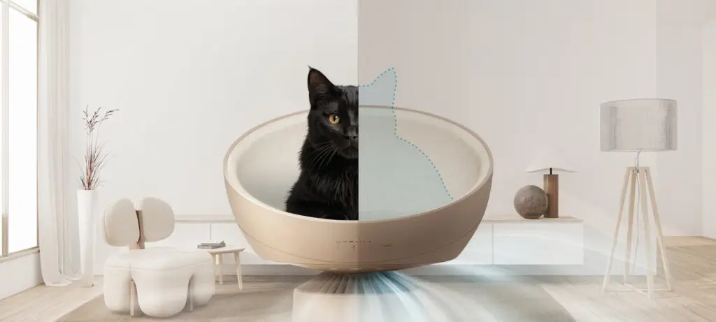 Cat relax mode with AeroCatTower